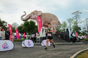 BIB: 
                            <button type="button" onclick="openModal(26529023)" class="btn btn-primary btn-sm float-right btn-popup" data-toggle="modal" data-target=".modal-high-quality">
                        <i class="fas fa-shopping-cart"></i> Add to Cart
                    </button>
                                            <button type="button" onclick="isThisMe(26529023, true)" class="btn btn-success btn-sm float-right btn-popup btn-isme hidden" data-toggle="tooltip" data-placement="bottom" title="นี่คือรูปของคุณใช่ไหม คลิกที่นี่เพื่อเอาเข้าอัลบั้ม">
                        <i class="fas fa-plus"></i> Add to album
                    </button>
                    <button type="button" onclick="isThisMe(26529023, false)" class="btn btn-warning btn-sm float-right btn-popup btn-isnotme hidden">
                        <i class="fas fa-ban"></i> Remove from album
                    </button>